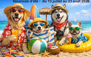 Vacances d'été