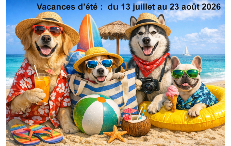 Vacances d'été