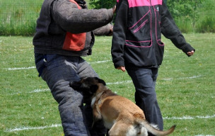 CONCOURS RING VILLEPARISIS 2 et 3 mai 2026