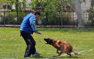 CONCOURS RING VILLEPARISIS 2 et 3 mai 2026